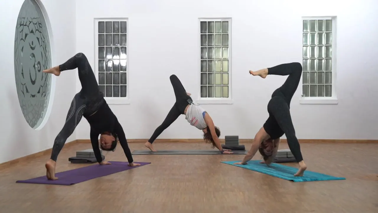 Vinyasa Yoga - Wirbelsäule